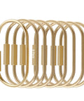 Locking Brass Carabiner Key Rings With Screw Lock Gold Tone Keychain Clip For Keys And Purses Durable Brass Key Organizer Set of 8