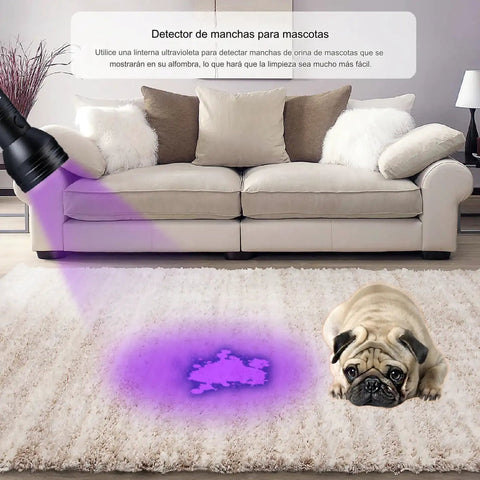 Portable 51 LED Black Light Flashlight Pro Grade showing pet urine detection on carpet with pug, home use focus