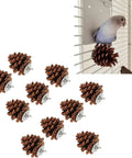 10 Pack Real Pine Cone Bird Chew Toys With Sturdy Mounting Nuts For Parakeets Cockatiels And Budgies, displayed with a bird.