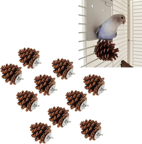 10 Pack Real Pine Cone Bird Chew Toys With Sturdy Mounting Nuts For Parakeets Cockatiels And Budgies, displayed with a bird.