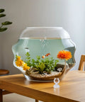 Ditch The Hassle And Get These 50pcs White Aquarium Air Hose Clamps With Rock Solid Suction Cups displayed next to a fish tank.
