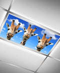 Funny Giraffe Heads Sky View Skylight Film Filter For Drop Ceiling Fluorescent Light 2x4 Feet, Flexible PET Light Diffuser