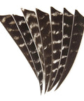 Arrow Fletching Shield Type 4 Inch Or 5 Inch Natural Stripe Turkey Feather Fletching Kit 50 Pack For DIY Arrows, Dope Lightweight