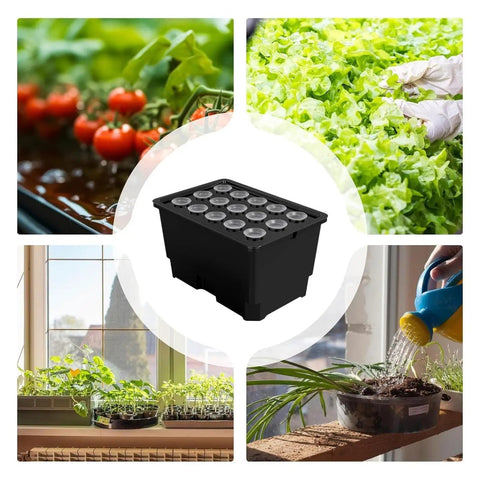 Hydroponic Growing Box For Home And Small Farm Soilless Cultivation System With 15 Pod Kit indoor and garden scenes