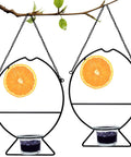 Two Oriole Bird Feeders Set With Orange Fruit Holder And Grape Jelly Grass, Outdoor Hanging Feeders displayed on tree.