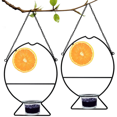 Two Oriole Bird Feeders Set With Orange Fruit Holder And Grape Jelly Grass, Outdoor Hanging Feeders displayed on tree.