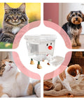 Smile Face Cat Water Dispenser With Cartoon Pet Fountain in center surrounded by images of cats and dogs, promoting hydration.