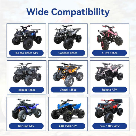 Compatibility chart for PZ20 Carburetor Kit For 125cc 110cc Chinese ATVs And Go Karts, shows models like Tao Tao, Coolster, Kazuma.