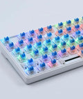 Blue 3-Pin Clicky Mechanical Keyboard Switches 50gf Actuation, Tactile And Audible Feedback, 30-Piece Bulk Pack For DIY Keyboards, Gaming, Typists, And Fidget Enthusiasts on white keyboard plate