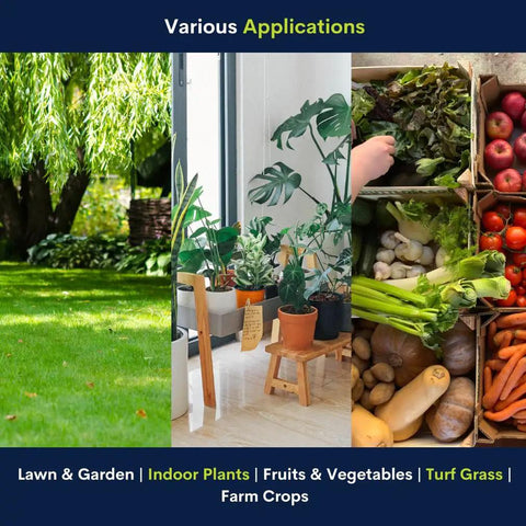 Lawn and garden with green plants, indoor houseplants, and a box of fresh fruits and vegetables showcasing fertilizer applications.