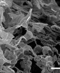 Microscopic view of Pro Grade WS2 Dispersion Nano Tungsten Disulfide, 0.1-4 μm diameter and 1-5 nm thickness in dispersion