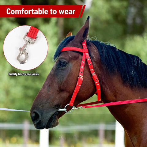 Adjustable Horse Bridle Set With Stainless Steel Bit And Reins, Durable Nylon Webbing Headstall, Non Slip Design, Blue Color