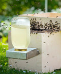 Eight Pack Mason Jar Bee Feeder Lids With Perforated Metal Entrance for hive water on honey bee hive, gold finish