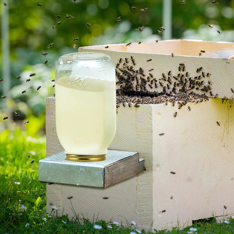 Eight Pack Mason Jar Bee Feeder Lids With Perforated Metal Entrance for hive water on honey bee hive, gold finish