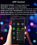 Smartphone app interface for Totally Smart 12 Inch Flush Mount LED Ceiling Light 24W Dimmable with RGB backlight options.