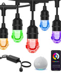 Smart RGBW String Lights 123 Ft With 40 LEDs, WiFi App Control, Alexa Compatible, colored bulbs, app and voice control devices shown