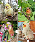 All In One Two Pack Bird Diaper Kit With Harness And 80 Inch Leash Waterproof Nappy Flight Suit For Cockatiel Parakeet Budgie Macaw Conure Pigeon Leakproof Pee Guard For Travel And Home shown on birds outdoors