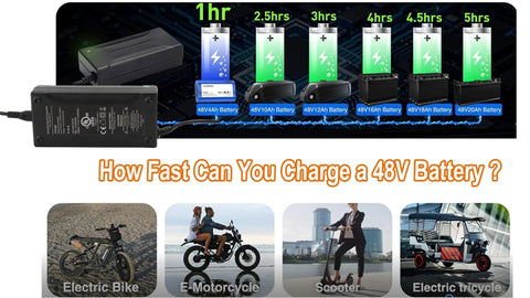 54.6V 4A Fast Charger To Power Up Your 13S 48V Lithium Battery Pack For Electric Wheelchairs, 4 DC Heads, 3 Pin XLR Connector, LED Indicator, 110-240V AC Input, 47-63Hz, Compatible With Jazz Mobility Wheelchairs