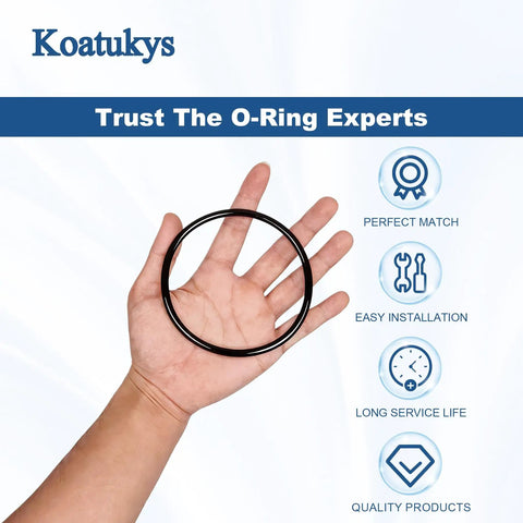 Two Pack O Ring Replacement Set For Pentair Rainbow Chlorinator Fits R172009 And O283 Compatible With Models 300 302 19 29 29X 320 And 322 Durable Rubber Compound Gasket black O-ring held in hand