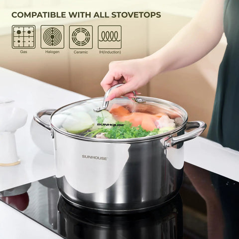 12 Quart Stock Pot With Lid Stainless Steel Large Pot For Cooking A Real Kitchen Workhorse shown on an induction stovetop