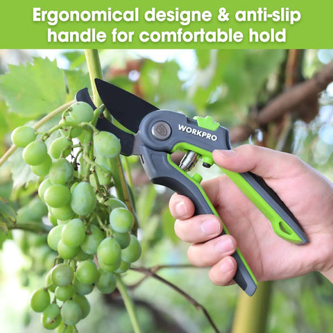Anvil Pruning Shears 8-Inch Heavy Duty Gardening Hand Pruner With SK5 Steel Sharp Blades used on grapevine, green handle