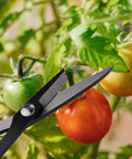 Heavy Duty Pruning Garden Shears Eight Point Two Seven Inch Long Tough As Nails Garden Scissors For Trimming Plants Nursery Pots And Fruit Trees All Purpose Utility Shears With Stainless Steel Blade And Durable Plastic Handle Sharp And Long Lasting near tomato vines