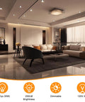 2 Inch LED Recessed Lights 3W Dimmable Downlights 3000K Warm White CRI80 in stylish living room setting