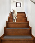 Non Slip Carpet Stair Treads Set Of 15 In Gray 8 By 27 Inches Rubber-Backed For Superior Grip showcased on wood stairs with a dog