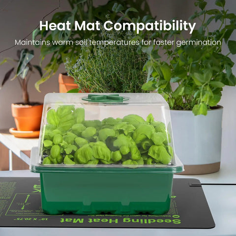 Elevated Seed Starter Kit with Grow Light and Adjustable Humidity Dome on heat mat, seedlings visible, home greenhouse setting