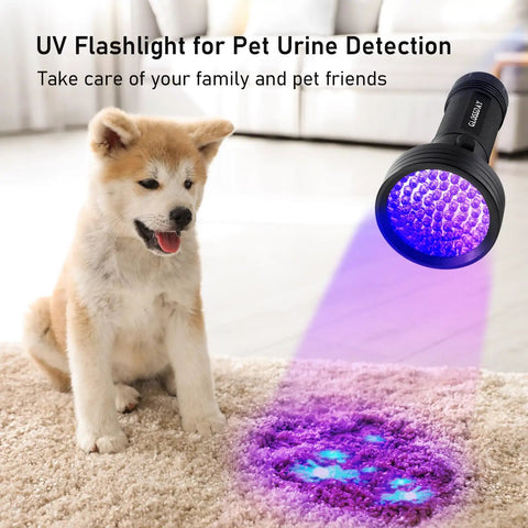 68 LED 395nm UV Blacklight Flashlight highlighting pet urine stain on carpet with puppy nearby