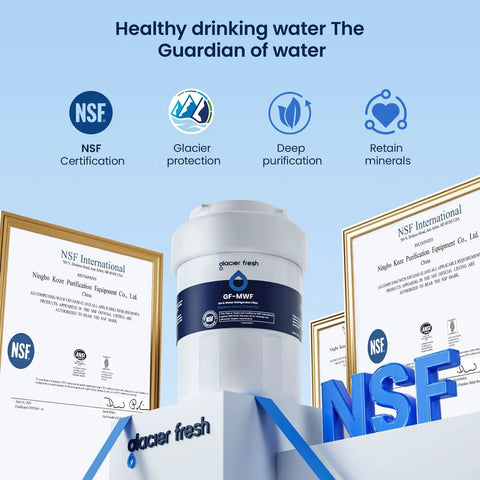 Replacement Refrigerator Water Filter For MWF MWFP MWFA GWF HDX FMG1 WFC1201 with NSF certification and certificates