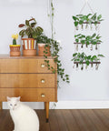 Your Go To Wall Hanging Propagation Station With Wooden Stand, Five Glass Test Tubes And Three Tier Planters displayed on wall