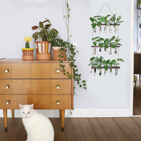 Your Go To Wall Hanging Propagation Station With Wooden Stand, Five Glass Test Tubes And Three Tier Planters displayed on wall
