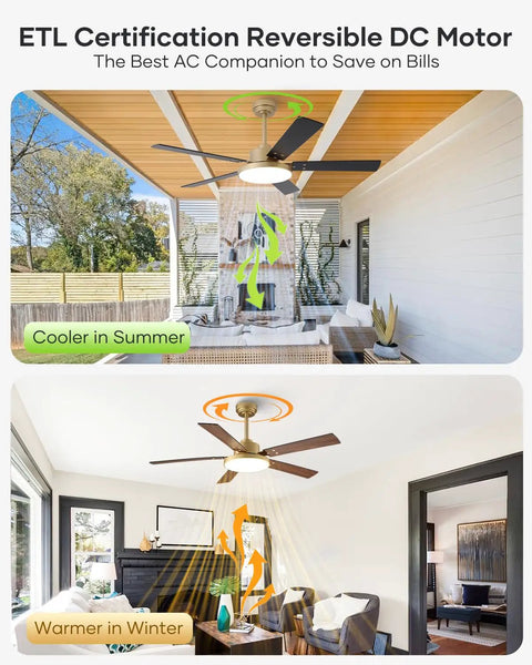 Two images of 52 Inch Gold And Black Ceiling Fan With Lights And Remote App Indoor Outdoor Smart Fan in patio and living room settings.
