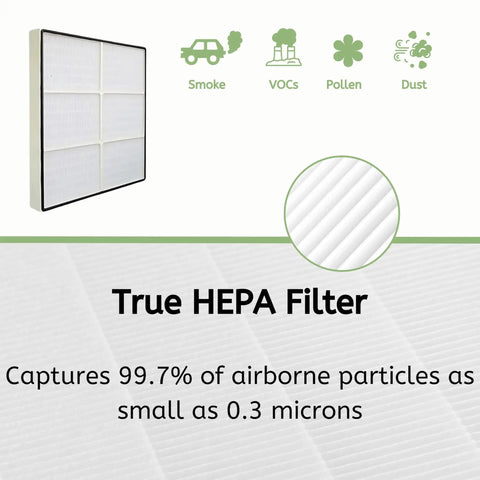 Power Up Your Air With This Replacement True HEPA Filter Set Plus Activated Carbon Pre Filter For Sears Kenmore Models filter illustration