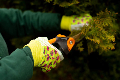 Soft Jersey Garden Gloves For Women Three Pack Assorted Colors Green Red Blue With Flower Print And Knit Wrist 100 Percent Cotton PVC Dots