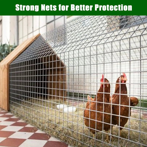 Heavy Duty Galvanized Wire Mesh Roll Shut Out Unwanted Critters in chicken pen, 19 gauge steel, 24 inch height, secure barrier.