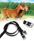 Double Layer Leather Spur Straps With Stainless Steel Buckle For Equestrian Riding Accessories 50cm Black shown on grass