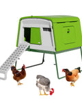 Large Plastic Chicken Coop For Easy Cleaning And A Secure Hen House, green color with ramp and chickens nearby