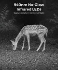 4K Dual Lens Cellular Security Camera With 4G LTE SIM Card Included, capturing deer with no-glow IR night vision in forest.