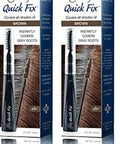 Instant Gray Root Cover Up Shampoo Formula With Easy Brush Applicator For Messless Touch Ups On The Go Travel Bundle displaying two Quick Fix packs with brush applicators.