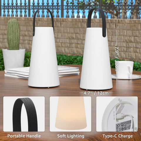 Rechargeable Cordless Outdoor Lanterns with dope RGB colors on table, portable handle, IP44 water resistant, remote control shown