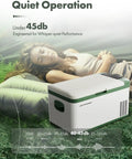 12 Volt Portable Refrigerator 21 Quart Car Fridge Cooler With Rapid Dual Climate Control Features in serene outdoor setting.
