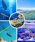 Collage of Salinity Refractometer For Seawater And Marine Aquariums With Automatic Temperature Compensation in use