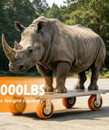 Heavy Duty Five Inch Polyurethane Caster Wheels With Rock Solid Dual Lock Brakes and Slick 360 Degree Swivel with a rhinoceros on a platform.