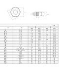 All Purpose Socket Head Cap Screw and Nut Kit in 304 Stainless Steel M2 to M6 for Quick Fixes and DIY Projects, Includes Button Head Bolts, Hex Nuts, and Metric Thread Hardware for Home, Shop, and Pro Grade Builds. Technical M2-M6 nut size chart