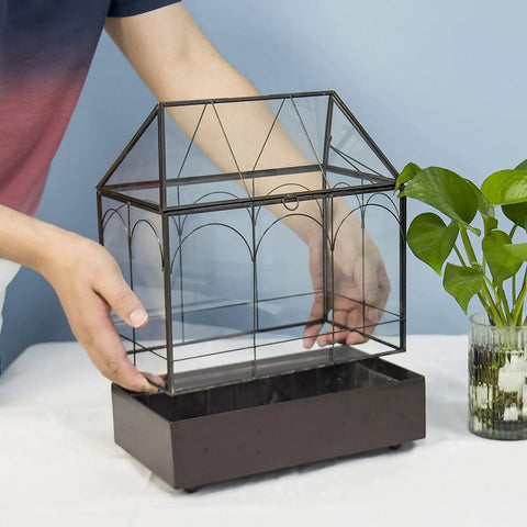Tall Glass Plant Terrarium With Lip And Tray On Wheels For Home Succulents  And Houseplants Glass Greenhouse Waterproof Brass Tray With Dope Wheels 9.5  
