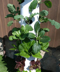 Self Watering Hydroponic Tower For Home Gardens, Vertical Planter System Kit With 24 Net Pots, Food Grade Construction, 360 Degree All Around Walls