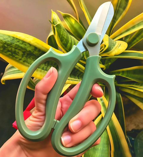 Pro Grade Garden Pruning Scissors With Comfort Grip Handle Set Razor Sharp SK5 Stainless Steel against green plant