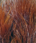 Rusty Brown Marabou Strung Quills for Fly Tying Real Feathers in Rich Rustic Hue Premium Dope Marabou Feathers Close-up
